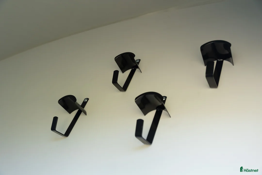 Hästtransporter  fordon & transport till salu: Cheval Liberté Maxi 4 Diagonallastad - Annons 11