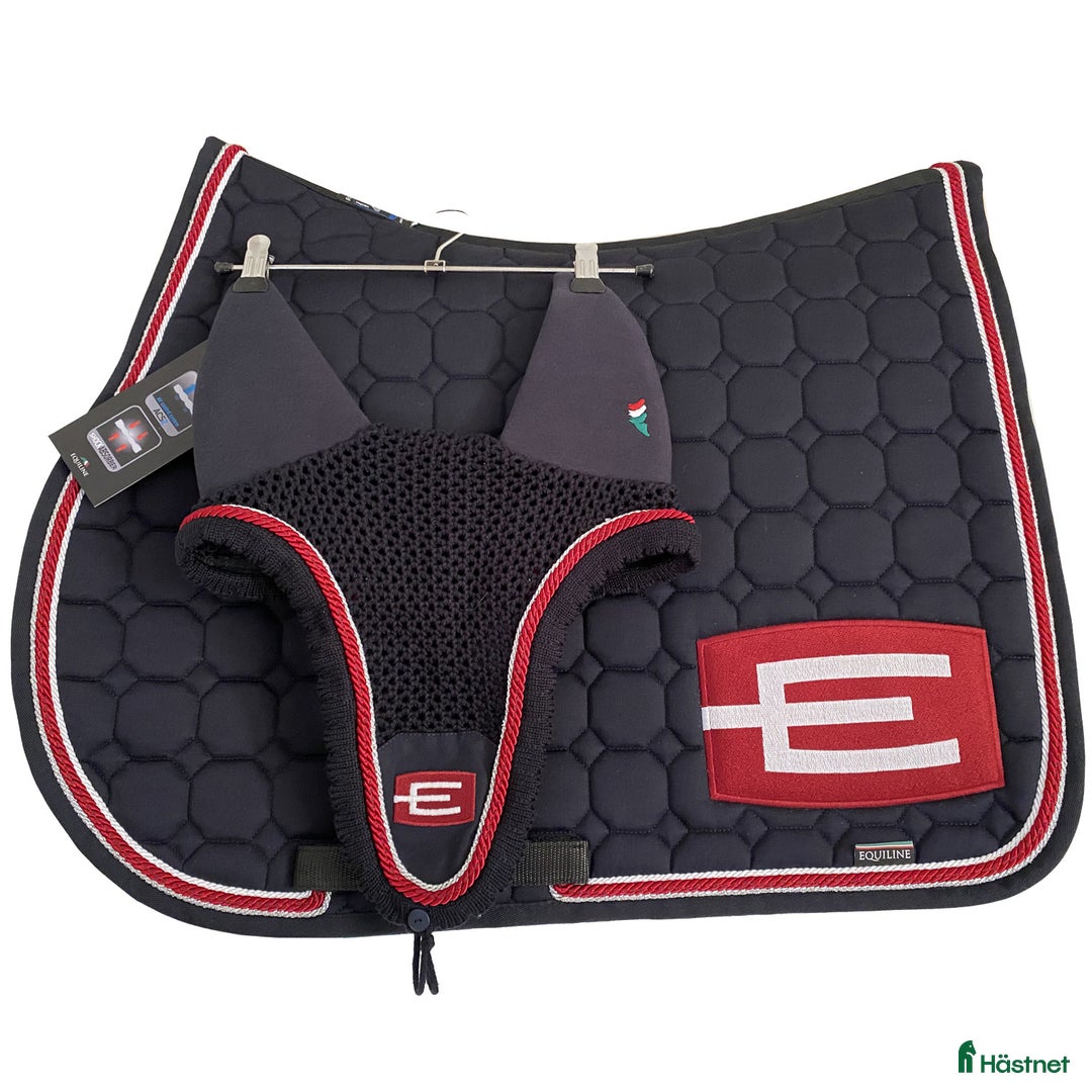 Schabrak & Vojlockar hästutrustning till salu: Söker! i Nynäshamn - Annons 2