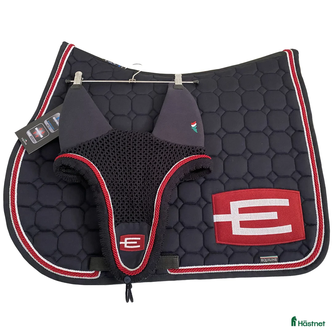 Schabrak & Vojlockar hästutrustning till salu: Söker! i Nynäshamn - Annons 2