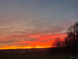 stallplats finnes: Stallplats Skurup i Skurup - Annons 1