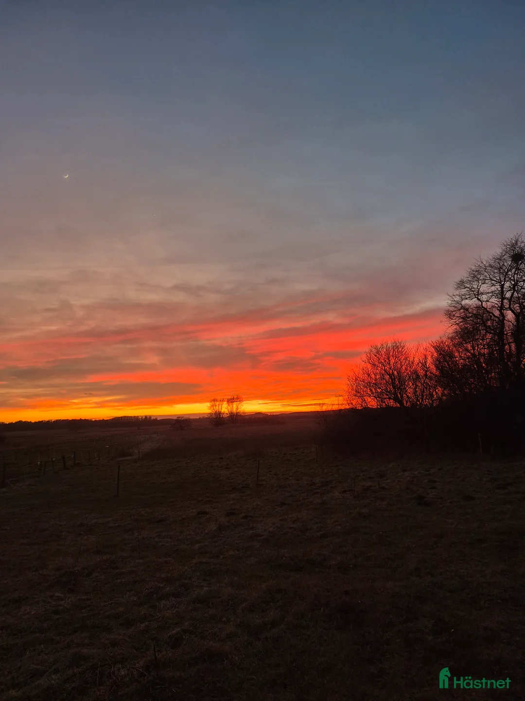  stallplats finnes: Stallplats Skurup i Skurup - Annons 1