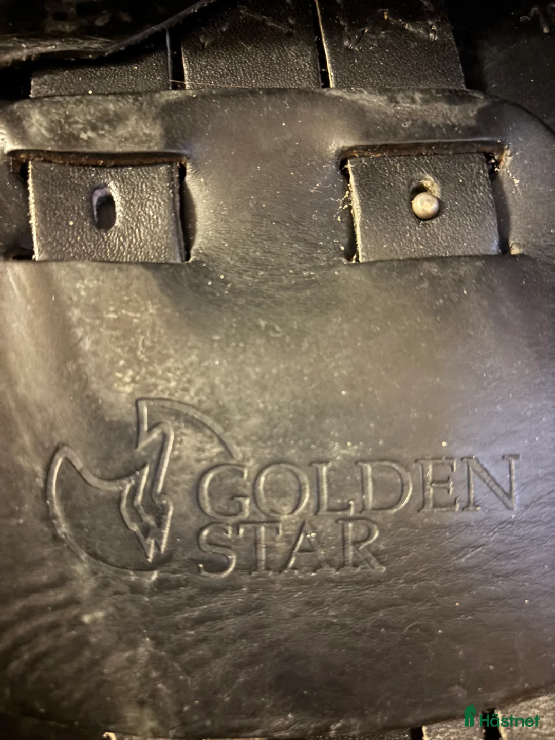 Sadlar hästutrustning till salu: Prestige Golden star i Malmö - Annons 4