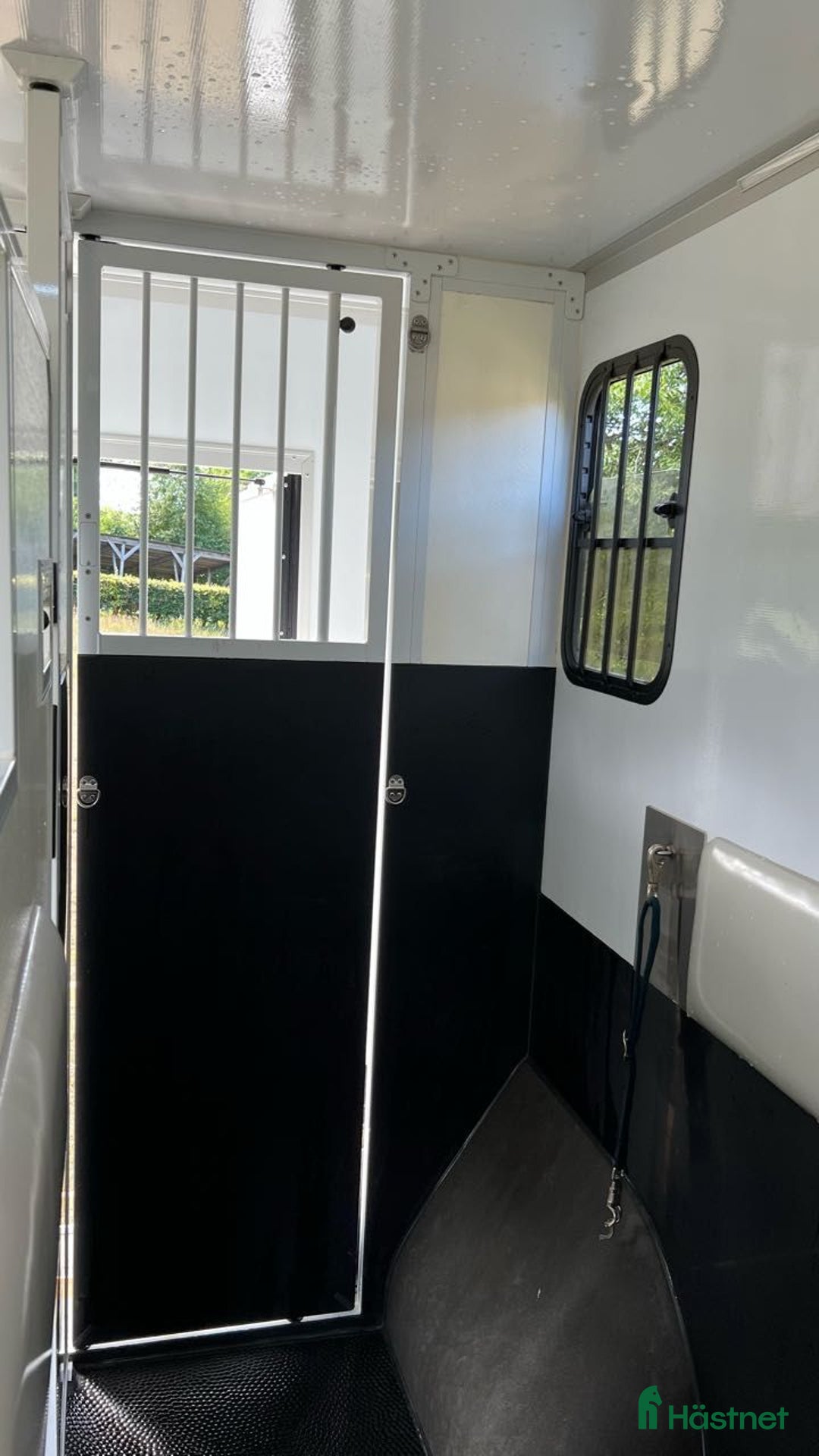  hästservice finnes: Transportering av häst i Västervik - Annons 4