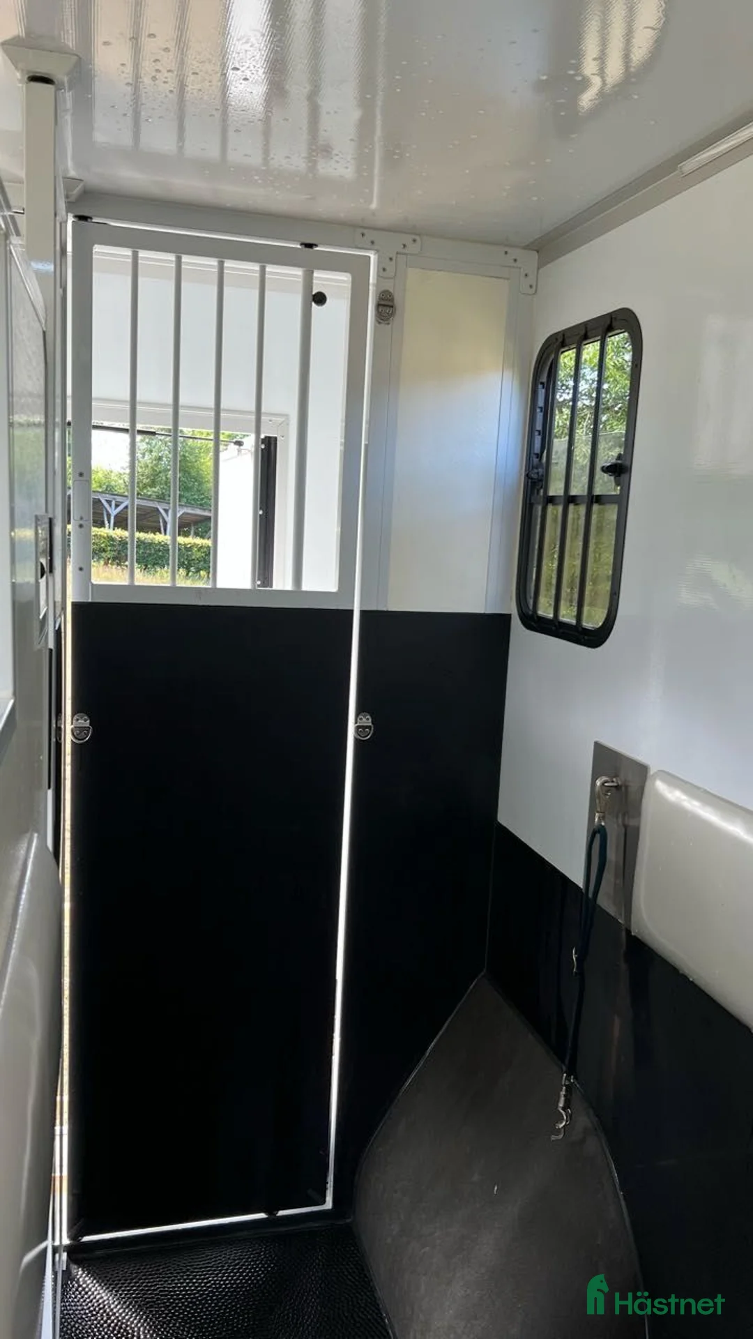  hästservice finnes: Transportering av häst i Västervik - Annons 4