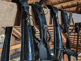 Körselar körning till salu: Parsele - Annons 1