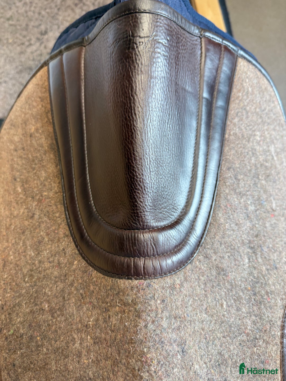 Schabrak & Vojlockar hästutrustning till salu: Equipe filtpadd  i Köping - Annons 2