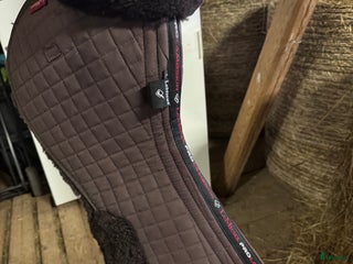 Sadeltillbehör hästutrustning till salu: Le Mieux sadelpadd i Falun - Annons 21