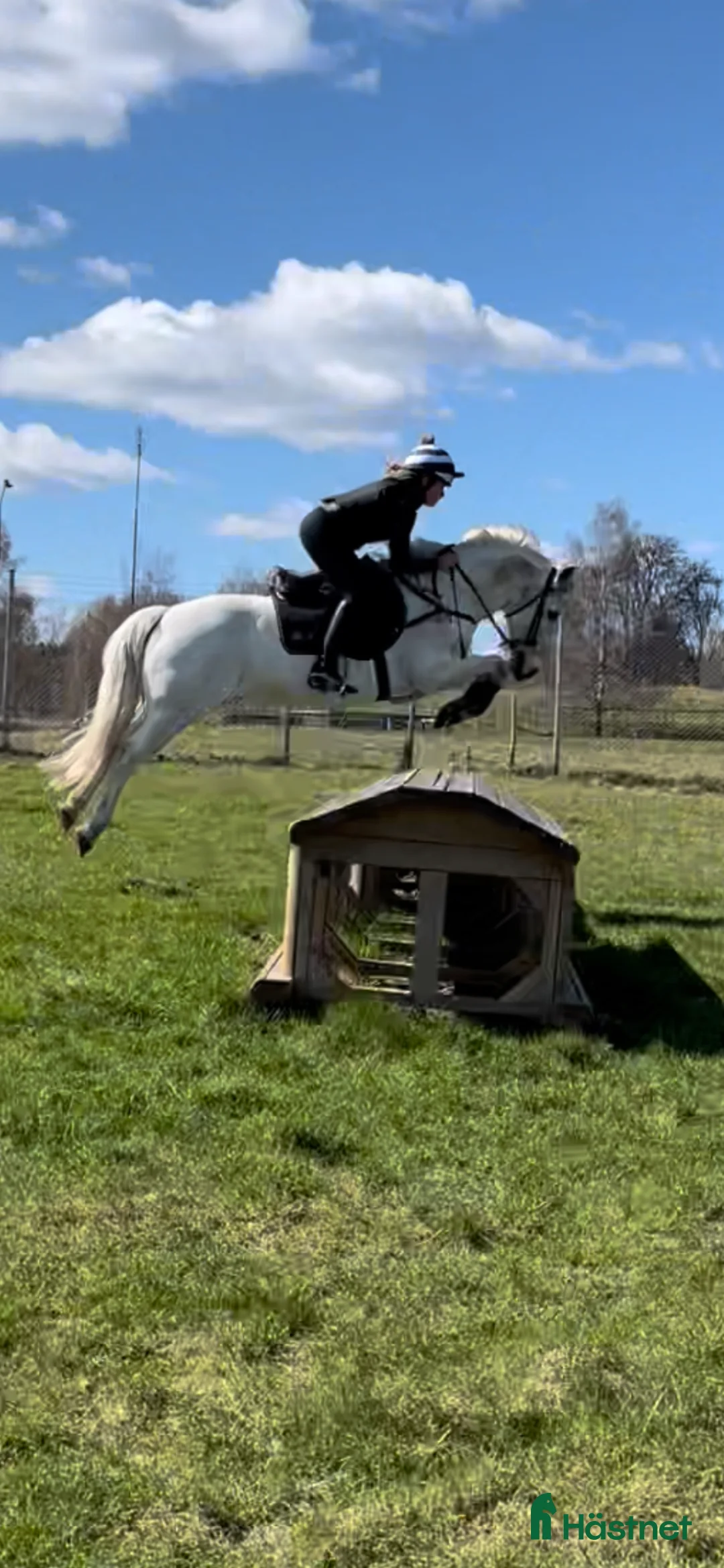 Allround hästar sökes: Söker projekthäst  - Annons 1