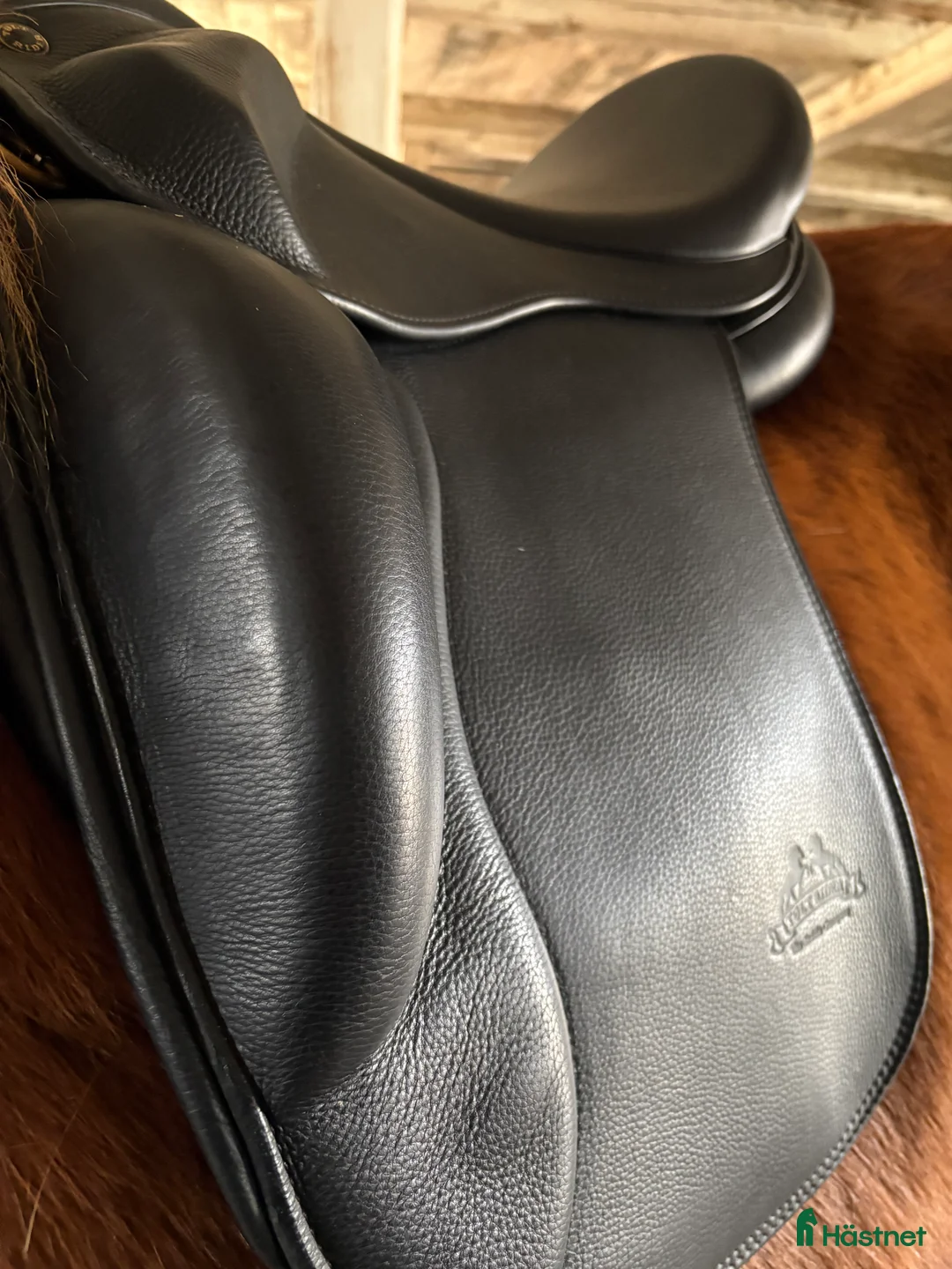 Sadlar hästutrustning till salu: Mycket fin Töltrider Glampi sadel - Annons 2