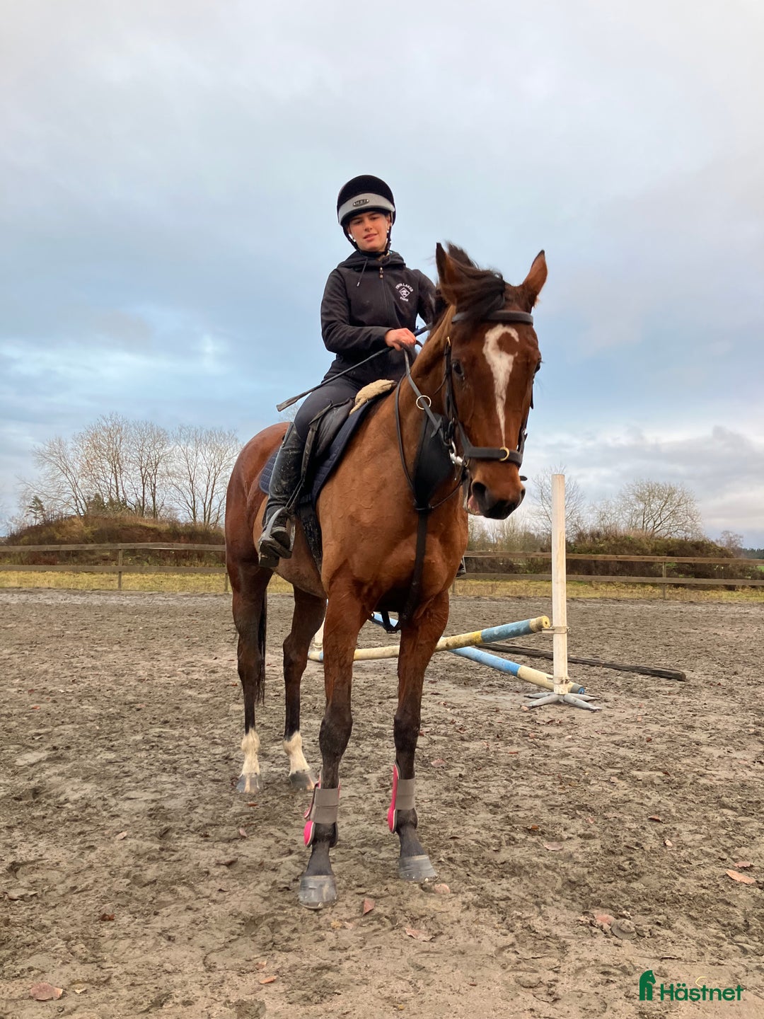 Allround hästar till salu: Kanon fint sto till fynd pris ! i Skara - Annons 2