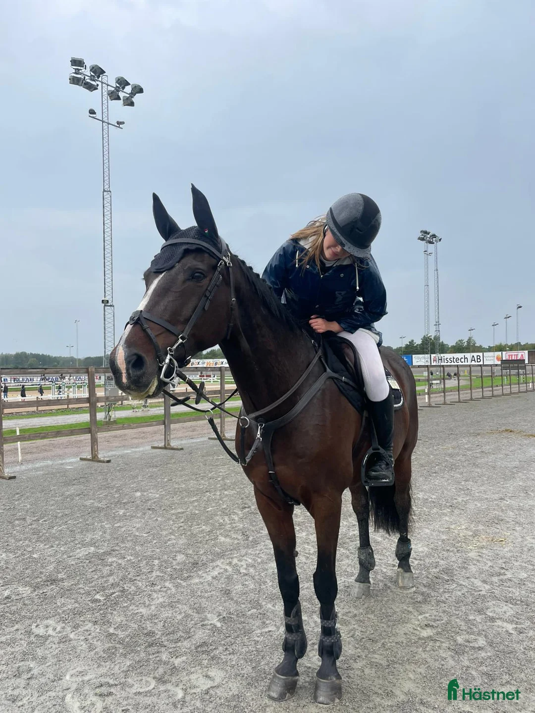 Hoppning hästar till salu: Fantastisk läromästare i Västerås - Annons 2