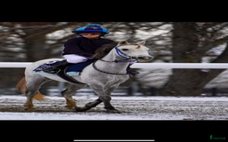 Galopp hästar till salu: Superfin hopponny som är starta i galopp  i Grillby - Bild 1