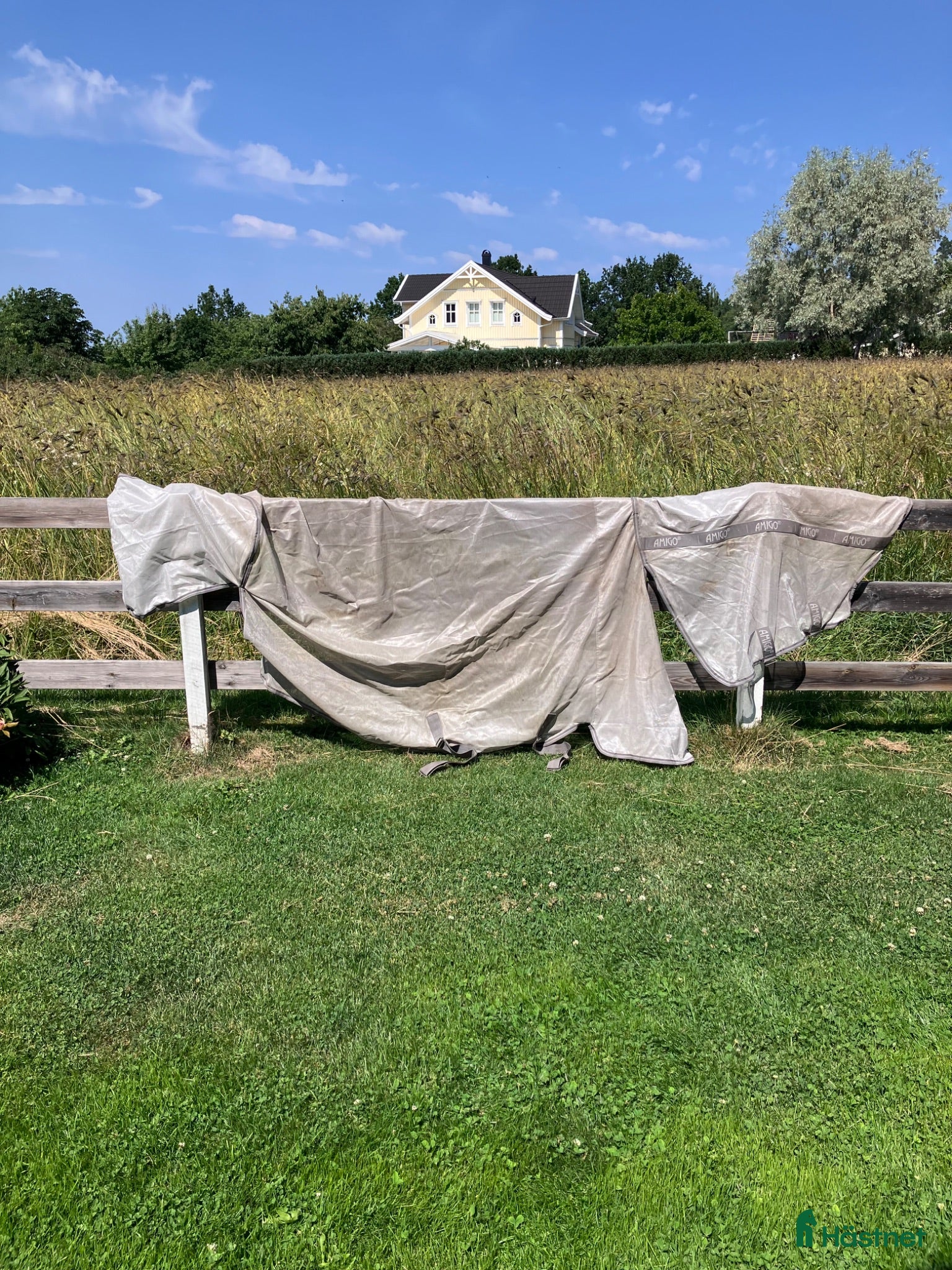 Täcken hästutrustning Horseware amigo flugtäcke 155 - Annons 2