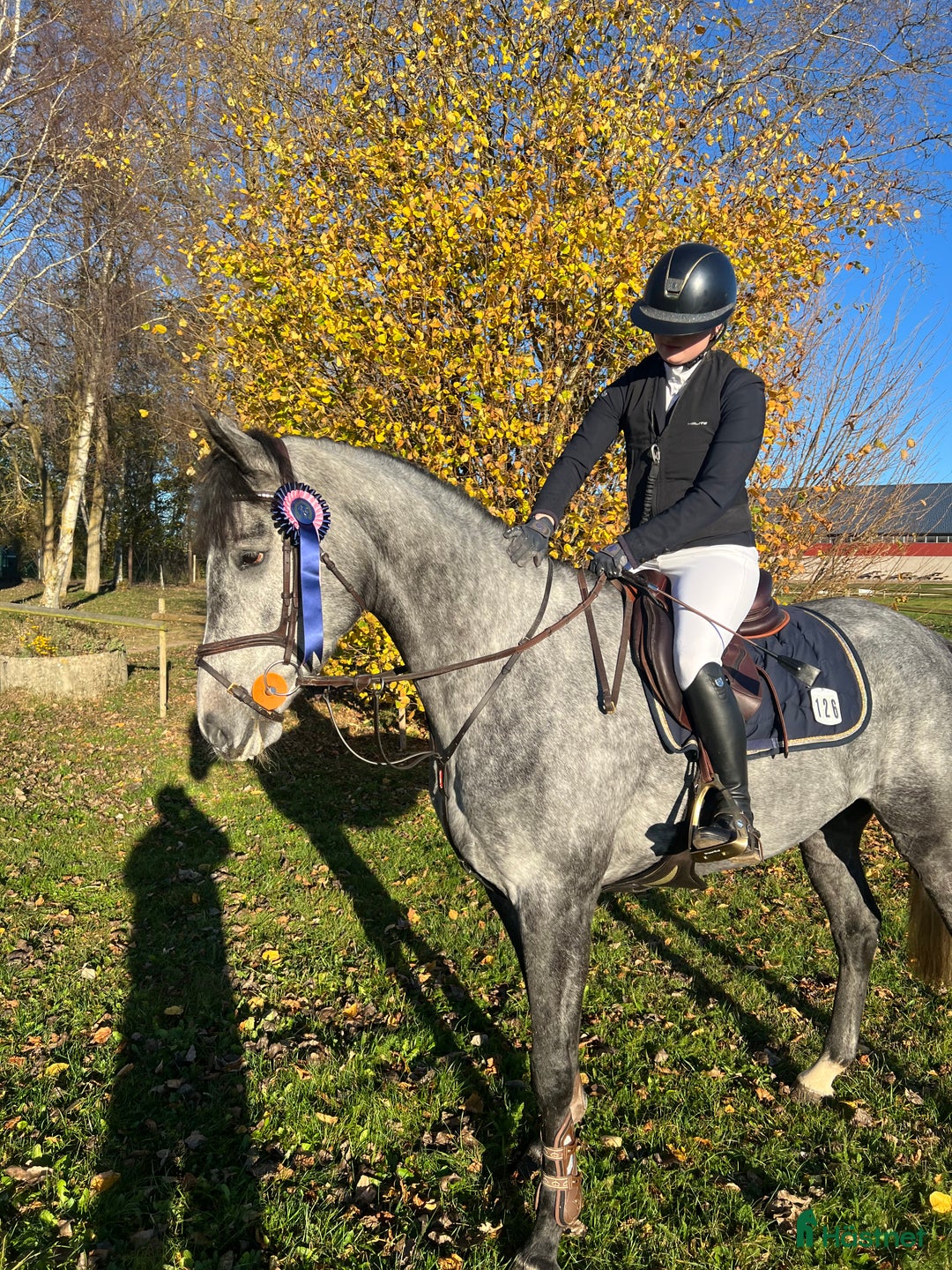  hästservice finnes: Inridning, tillridning och försäljning  i Klågerup - Annons 3