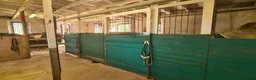  stallplats finnes: Stallplats/lösdrift i Västerhejde, Gotland - Annons 6
