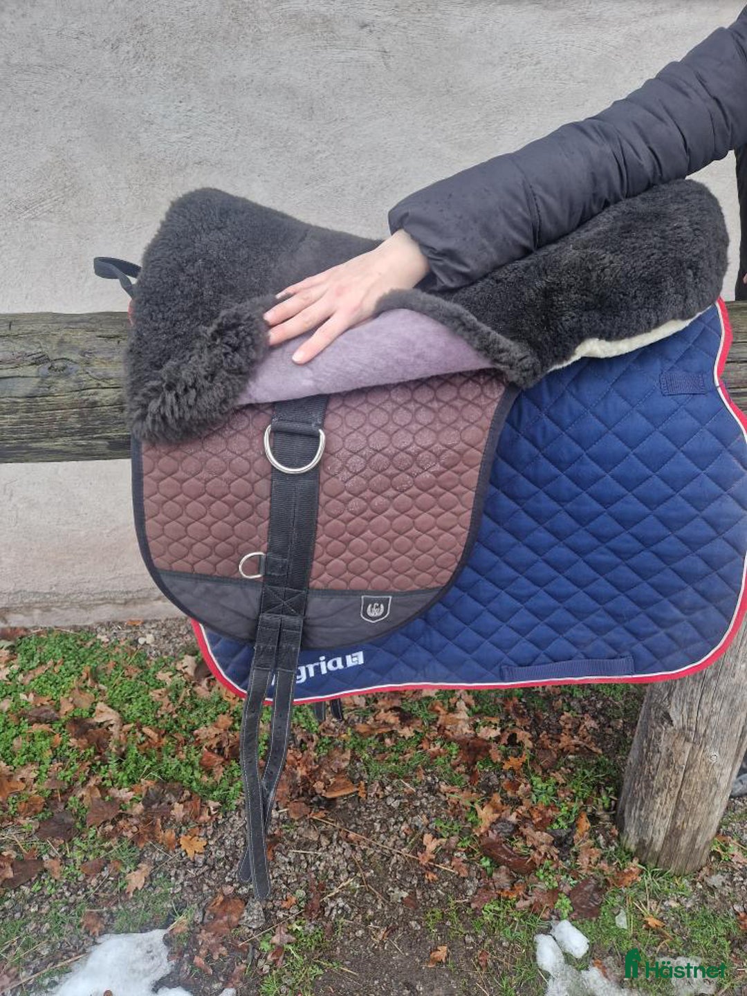 Sadlar hästutrustning till salu: Christ Basic Plus barbackasadel, fårskinn  i Kalmar - Annons 4