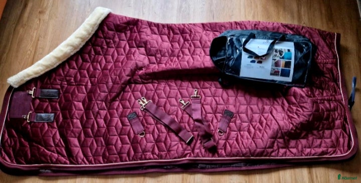Täcken hästutrustning Kentucky Show Rug 160g - Annons 4