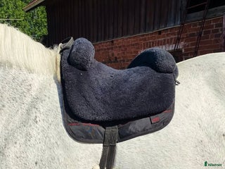 Sadlar hästutrustning till salu: Iberica Ridpad, inkl frakt i Insjön - Annons 2