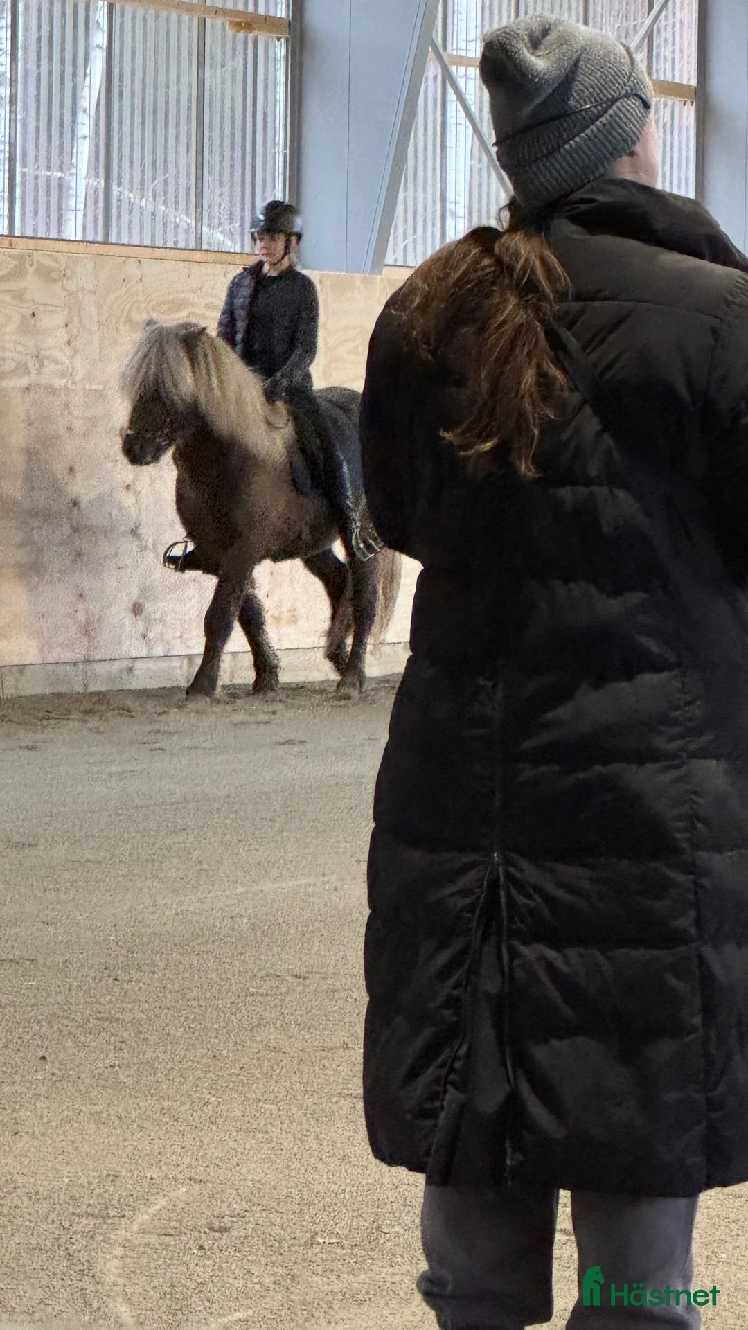  hästservice finnes: Höstlovsridläger i Bergslagen i Riddarhyttan - Annons 4