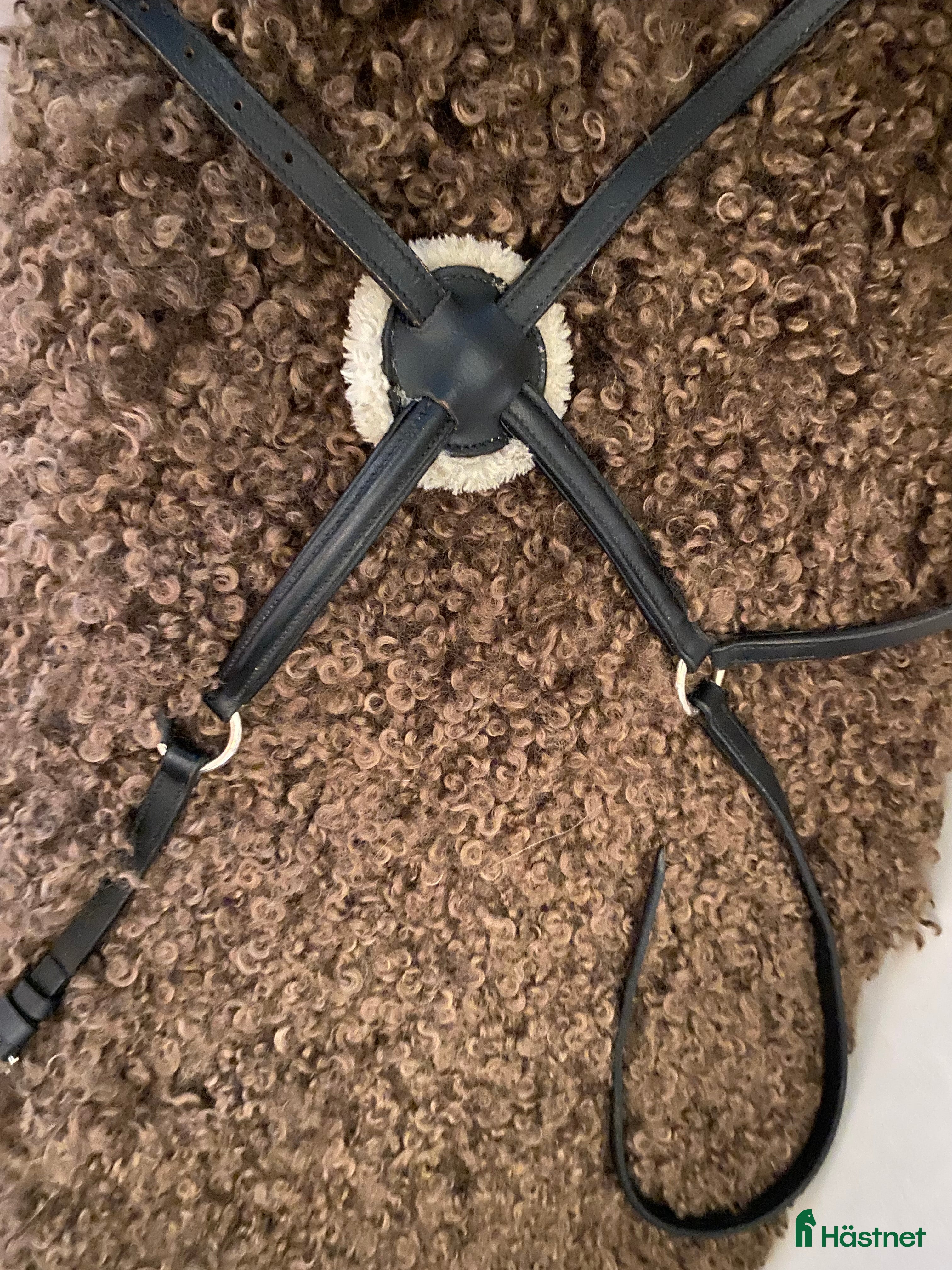 Träns hästutrustning Träns och lädergrimma säljes! i Frillesås - Annons 12