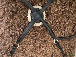 Träns hästutrustning till salu i Frillesås - Annons 38