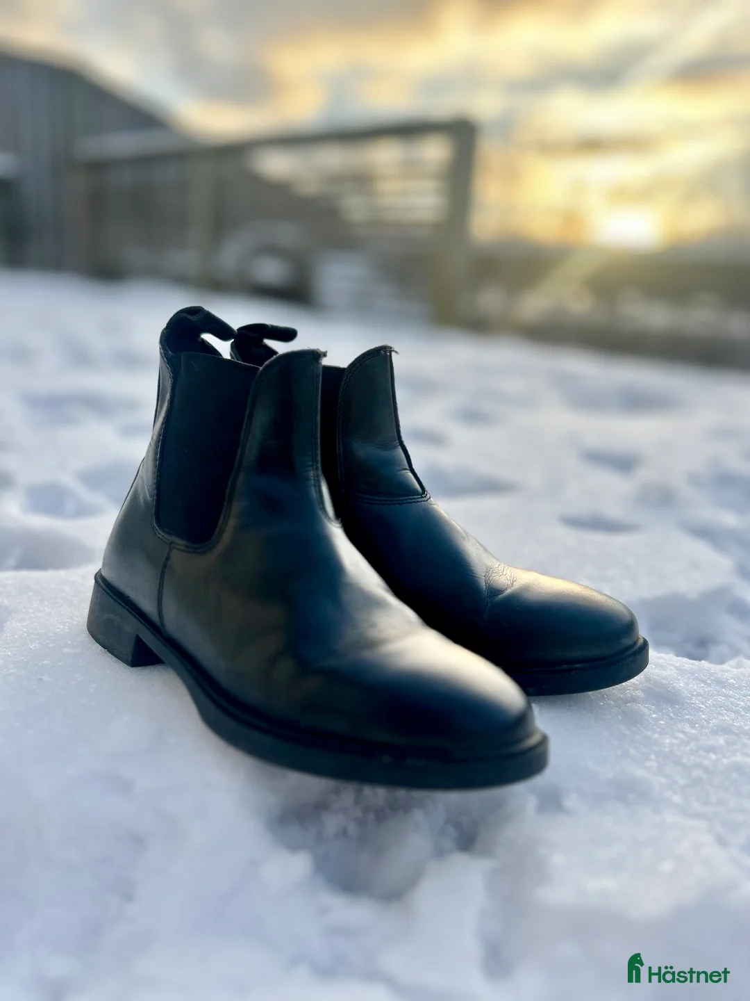 Ridstövlar ryttarutrustning till salu: CRW ridskor  - Annons 1