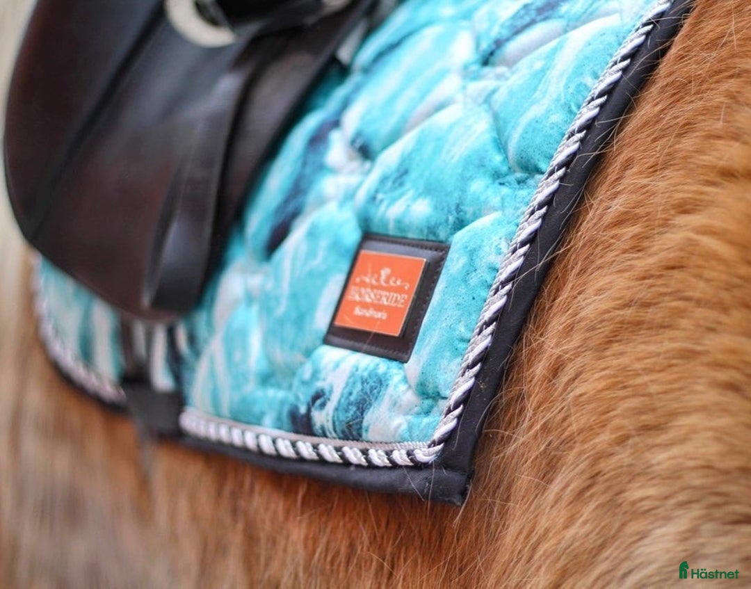 Sadeltillbehör hästutrustning till salu: Nya schabrak i Valbo - Annons 1