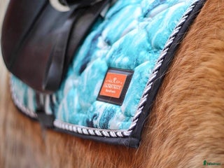 Sadeltillbehör hästutrustning till salu i Valbo - Annons 2