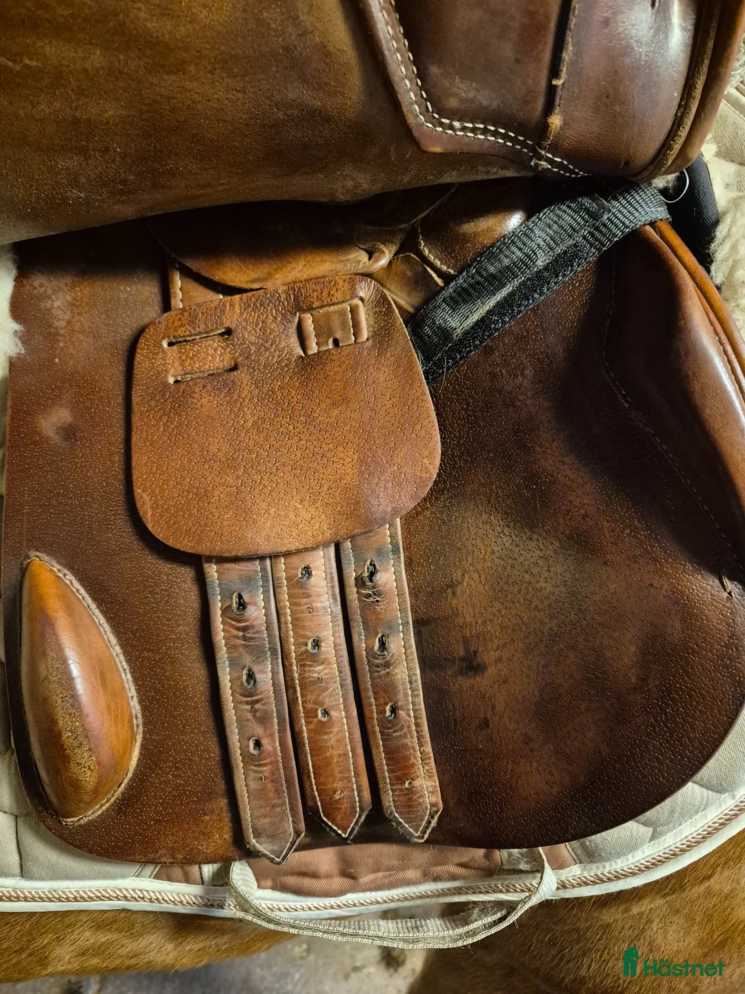 Sadlar hästutrustning till salu: Prestige Paris 17" i Norrhult - Annons 9