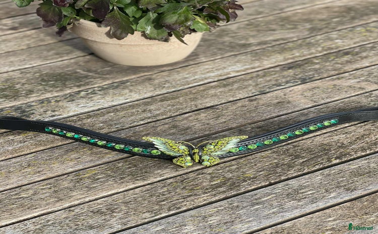 Träns hästutrustning till salu: Nya pannband ! i Göteborg - Annons 7