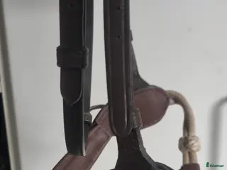 Träns hästutrustning Bettlöst träns, brunt stl Full - Annons 4