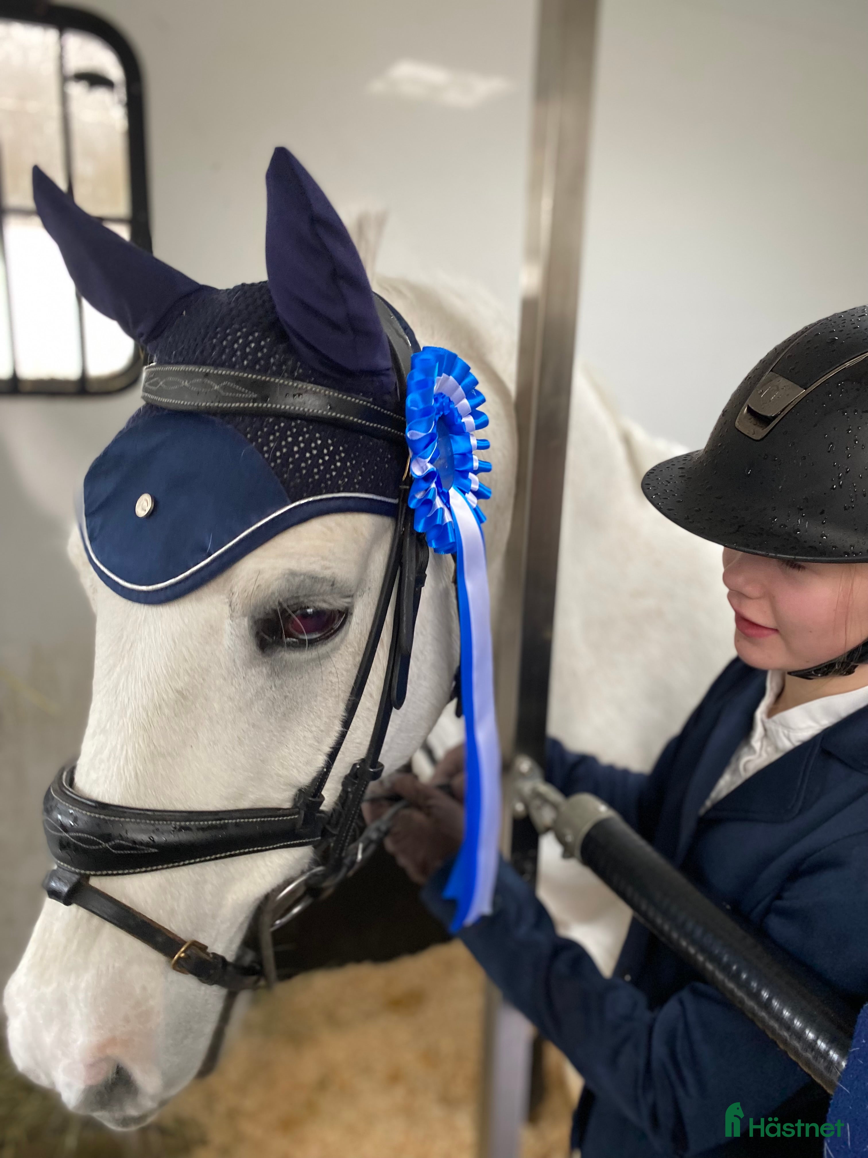  hästar Söker d-ponny  i Kungsbacka - Annons 2