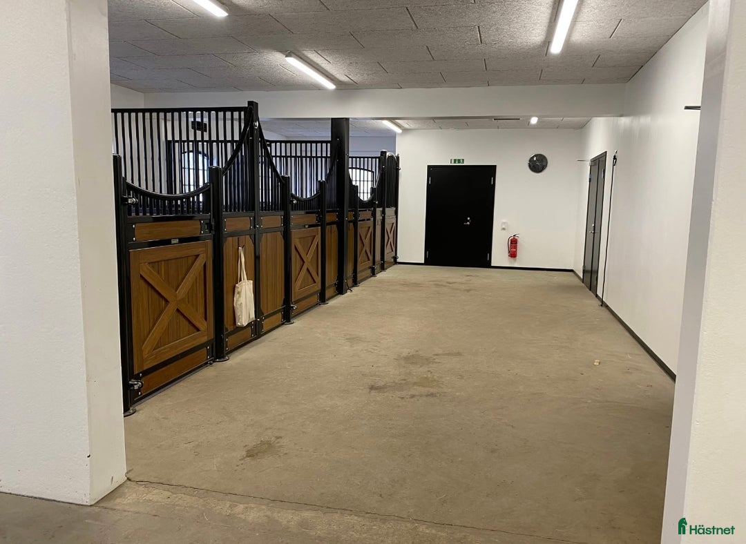  stallplats finnes: Stallplatser uthyres i Säve - Annons 4