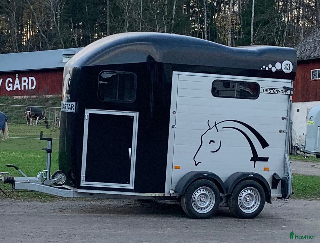 Hästtransporter  fordon & transport till salu: Cheval liberte Gold 3 2023 - Annons 8