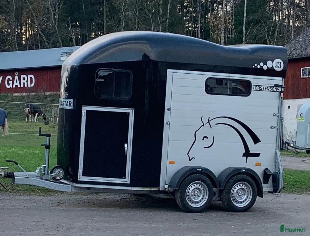 Hästtransporter  fordon & transport till salu: Cheval liberte Gold 3 2023 - Annons 1