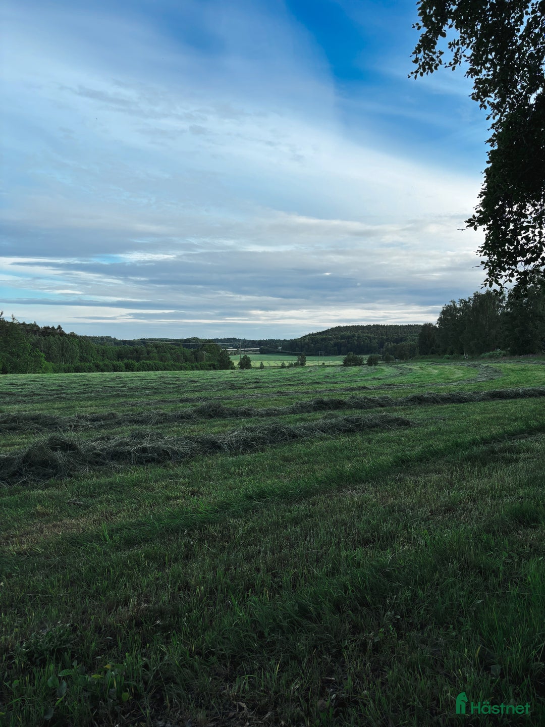  stallplats finnes: Stallplatser finnes på Ekeby i Tungelsta  i Tungelsta - Annons 3