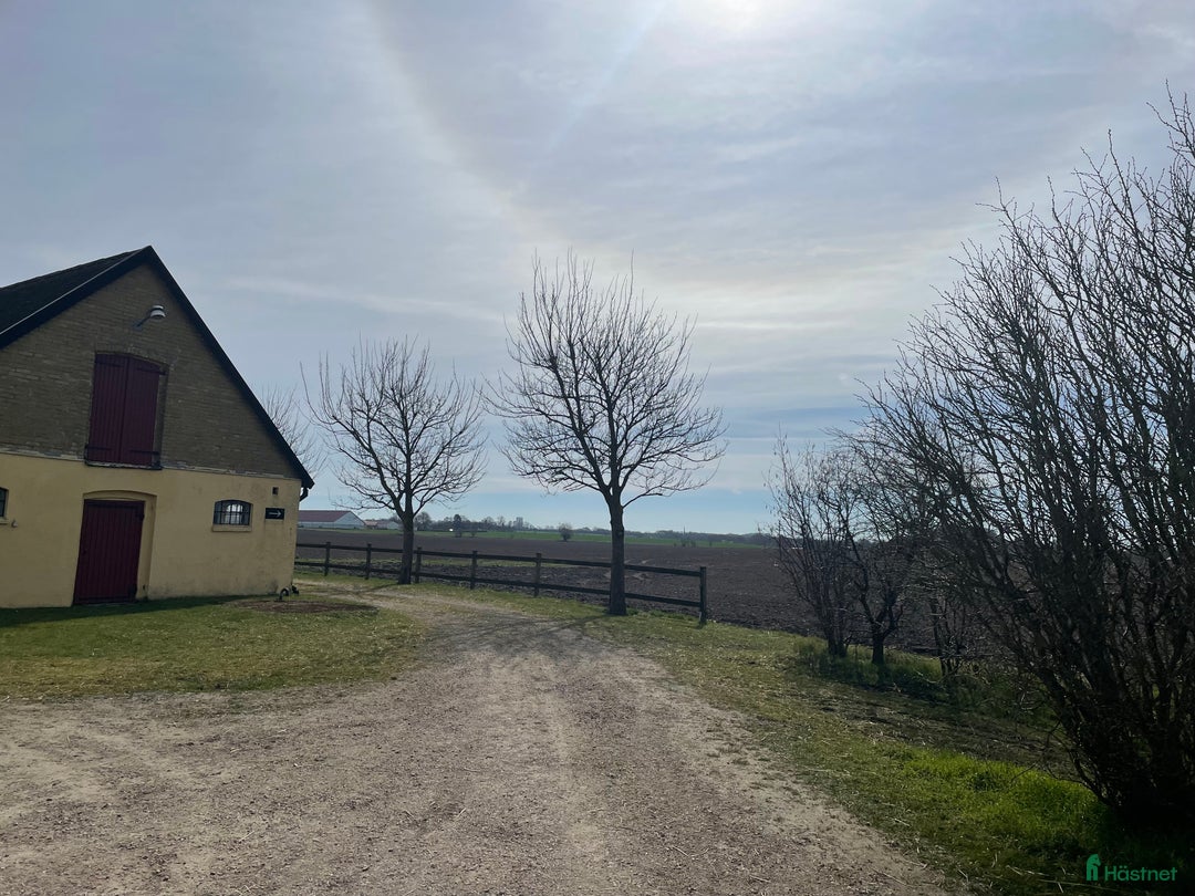  stallplats finnes: Boxplats ledig - Lund (Vallkärra) i Lund - Annons 3