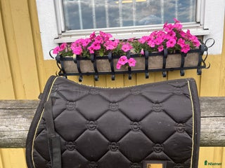 Schabrak & Vojlockar hästutrustning till salu: 🌷otroligt fina schabrak 🌷 i Halmstad - Annons 1