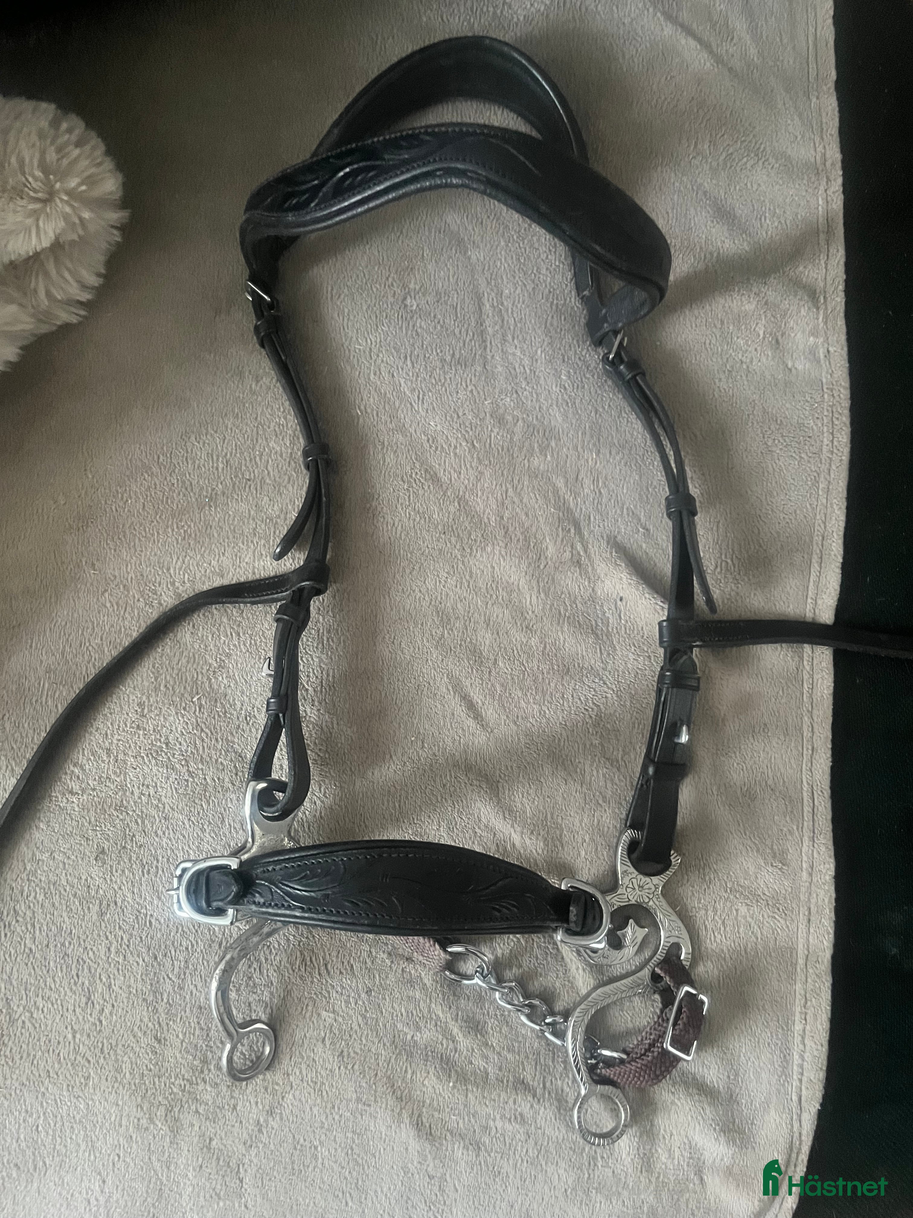 Träns hästutrustning till salu: Frakt ingår Komplett hackamore Taur ,tyglar ingår  - Annons 1