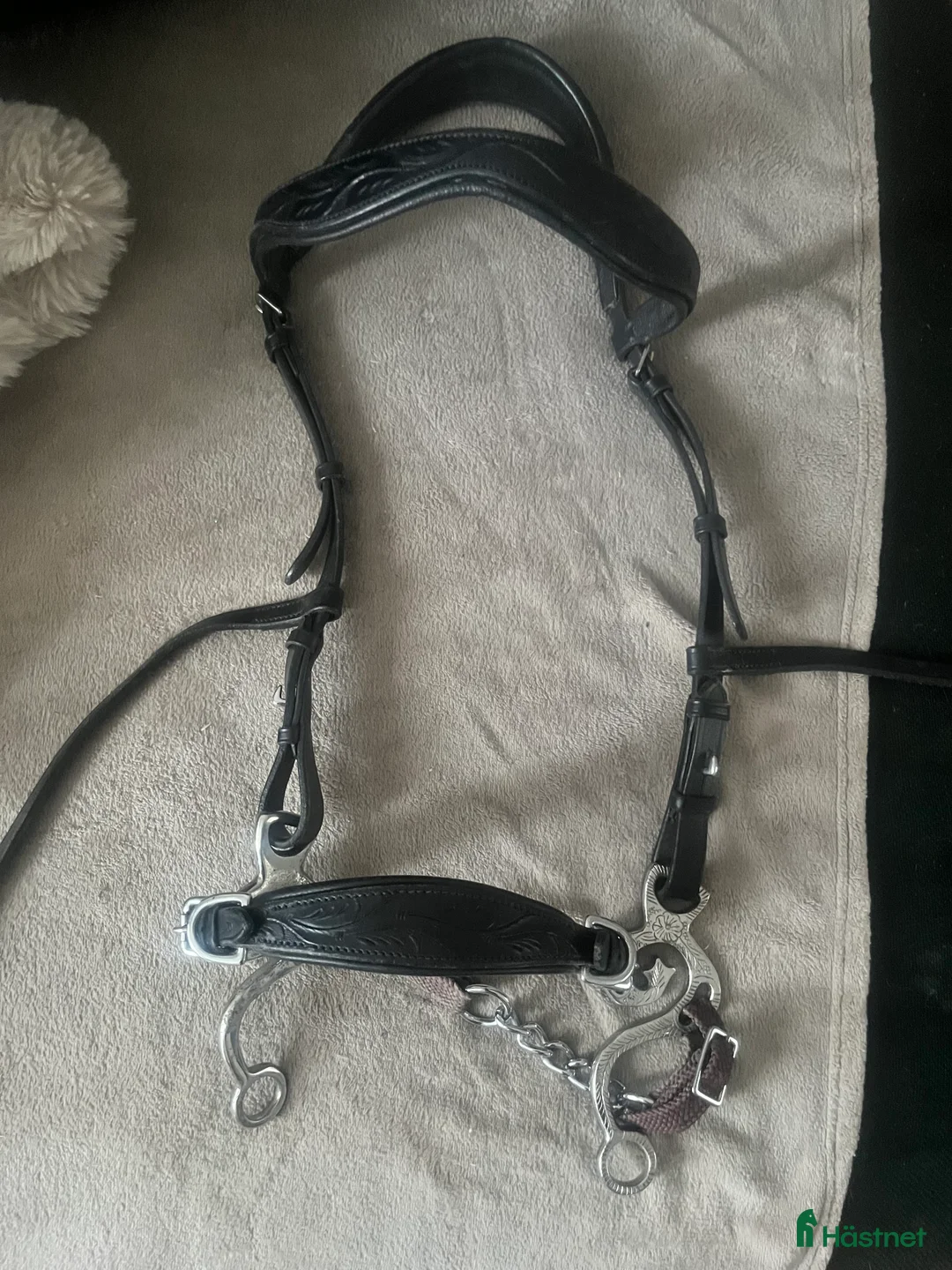 Träns hästutrustning till salu: Frakt ingår Komplett hackamore Taur ,tyglar ingår  - Annons 1