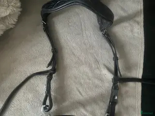 Träns hästutrustning till salu: Frakt ingår Komplett hackamore Taur ,tyglar ingår - Annons 1