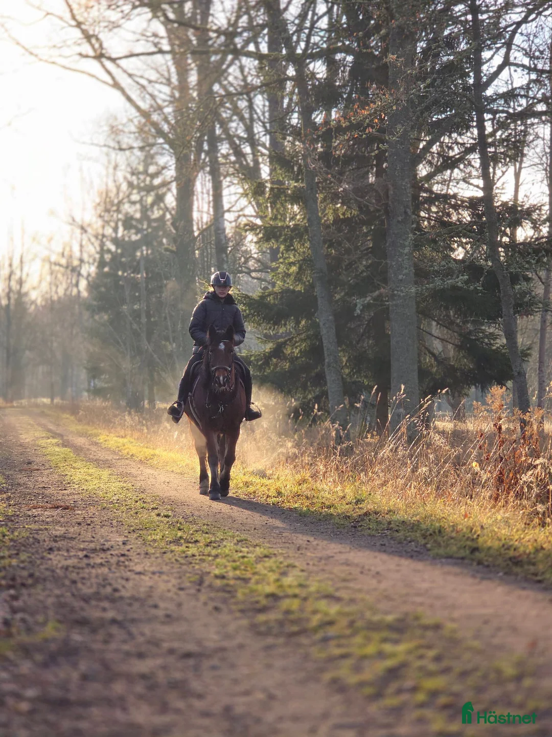  stallplats finnes: Stallplats - central men lantlig! - Annons 6