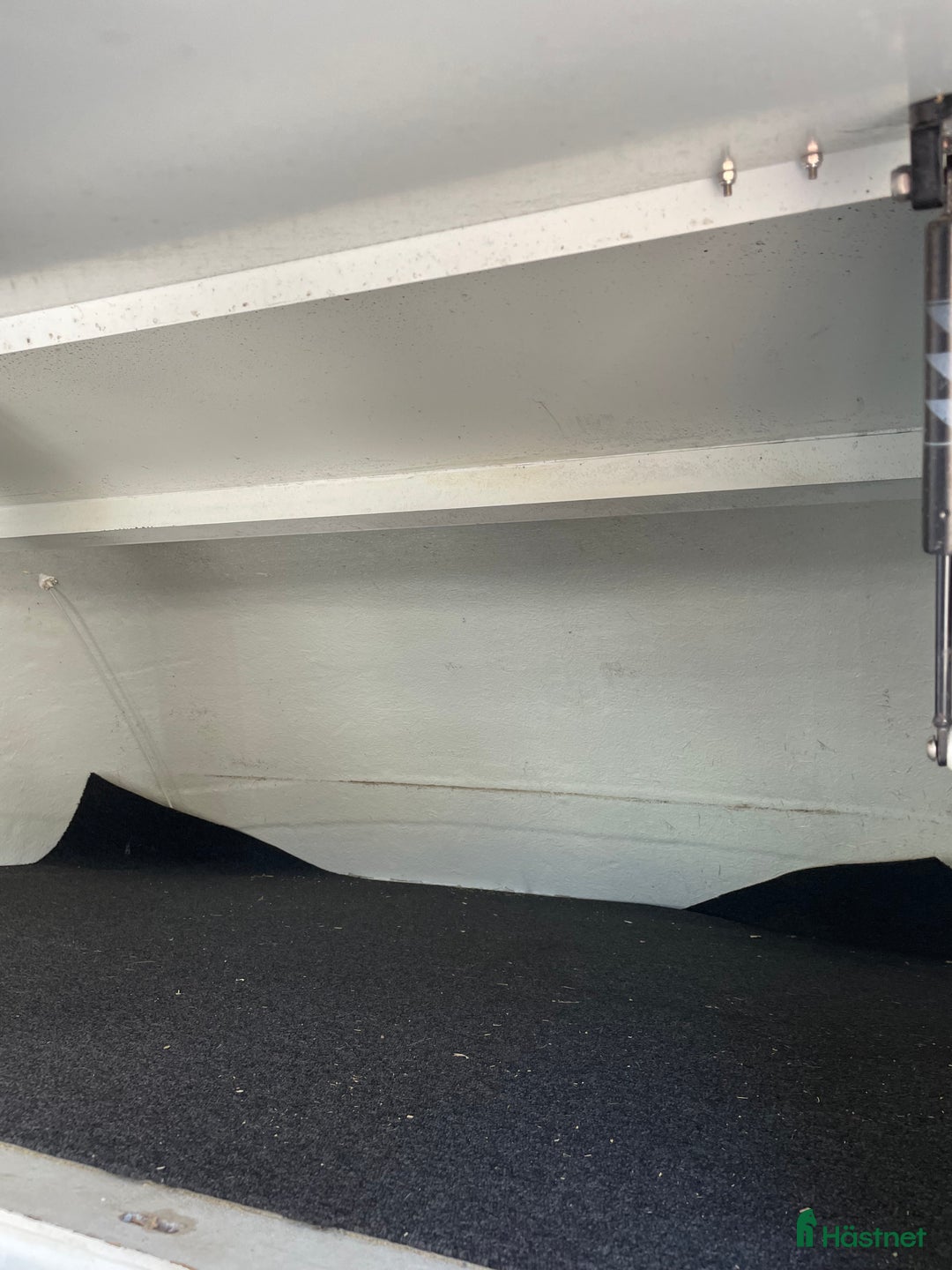 Hästlastbilar  fordon & transport till salu: Renault Master Theahult - Hästlastbil B-korts  i Herrljunga - Annons 13