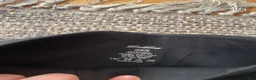 Ridbyxor ryttarutrustning till salu: Teddyfleece Zaczess 2Xs - Annons 3