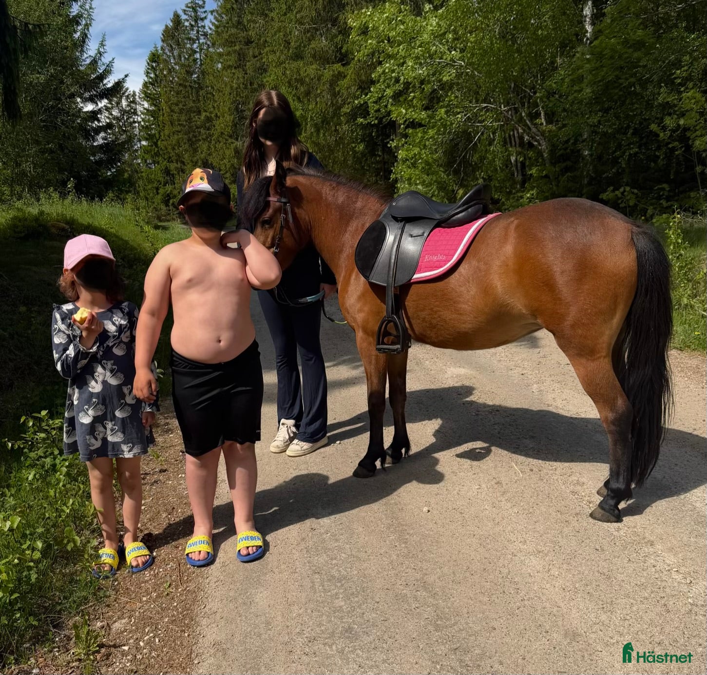  hästar Jättefin b-ponny - Annons 2