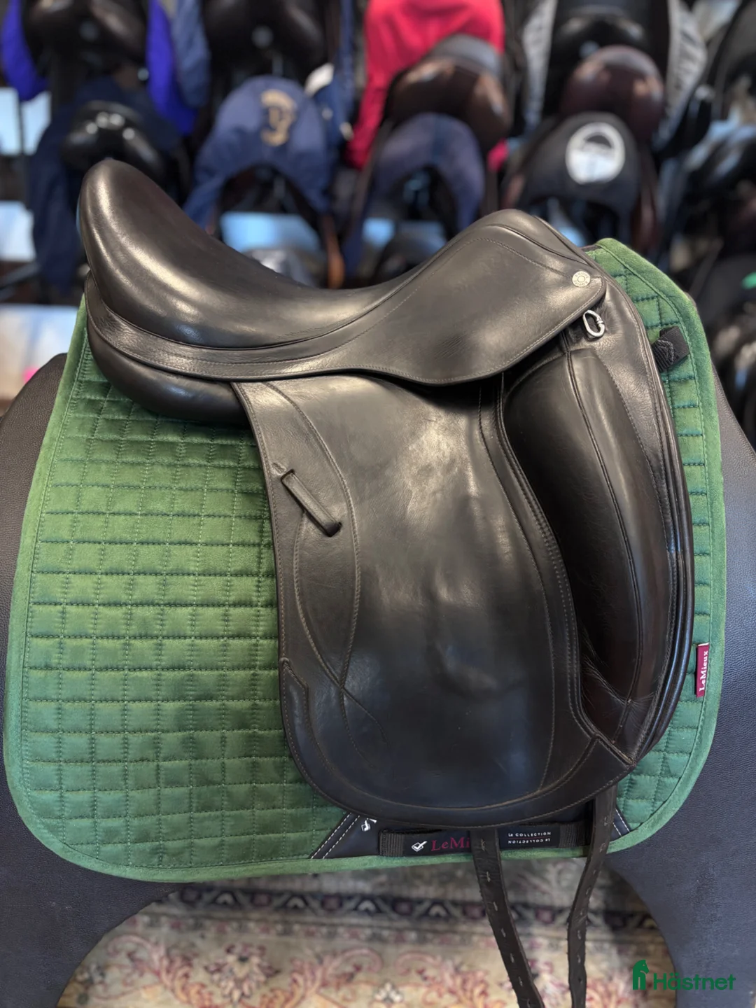 Sadlar hästutrustning till salu: Equipe Olympia ✨ - Annons 2