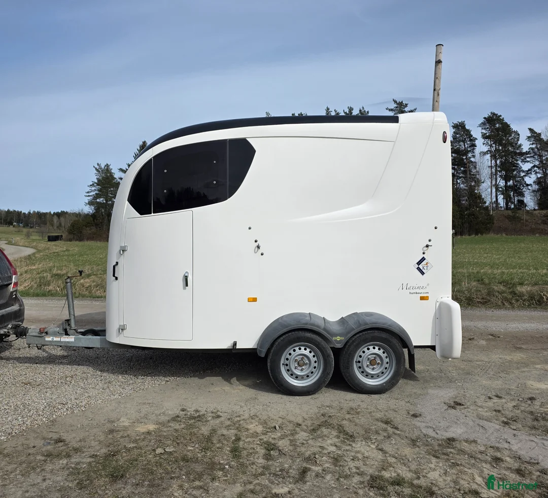 Hästtransporter  fordon & transport till salu: Humbaur Maximus 2016 i Brottby - Annons 1