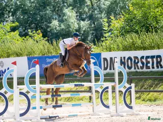 hästservice finnes: Utbildning, tävling och försäljning i Knäred - Annons 2