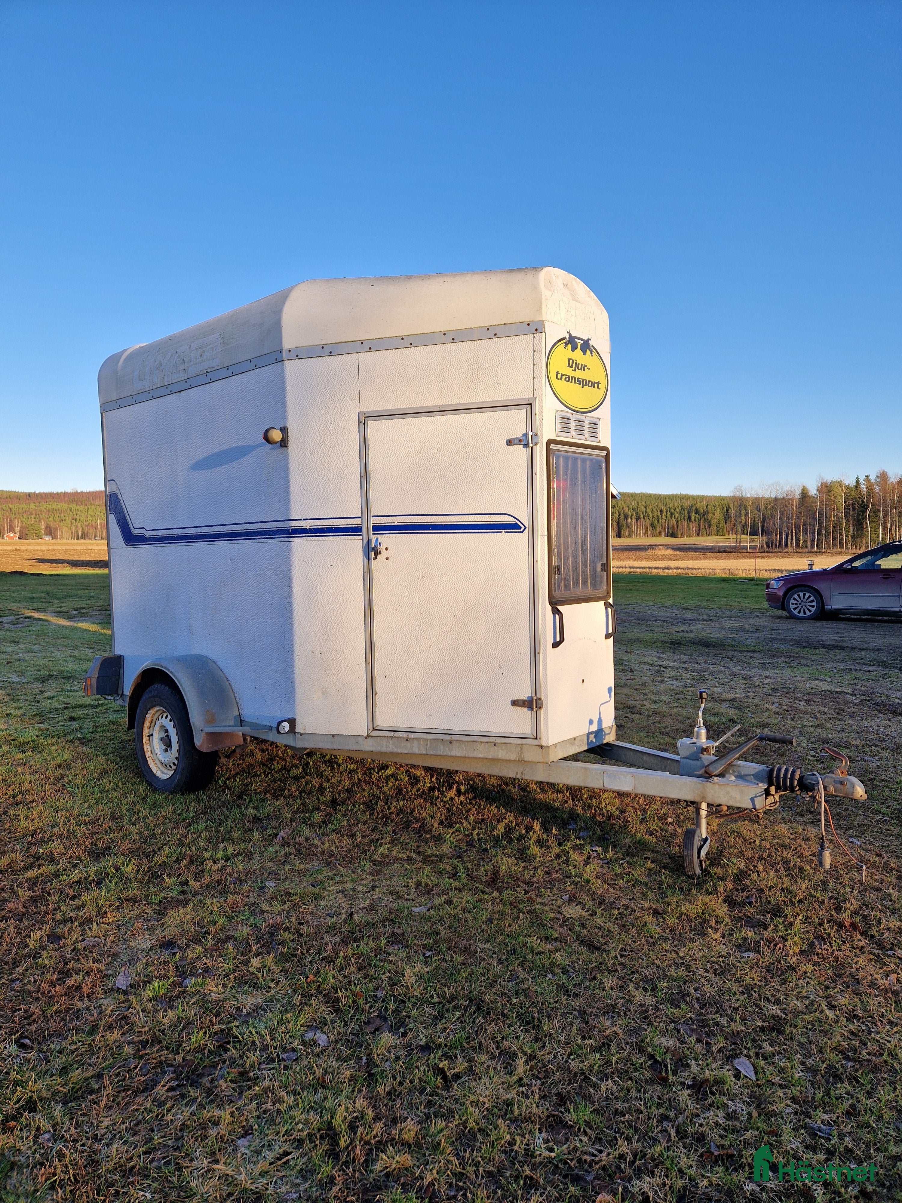 Hästtransporter  fordon & transport till salu: Umesläp  i Vännäs - Annons 3