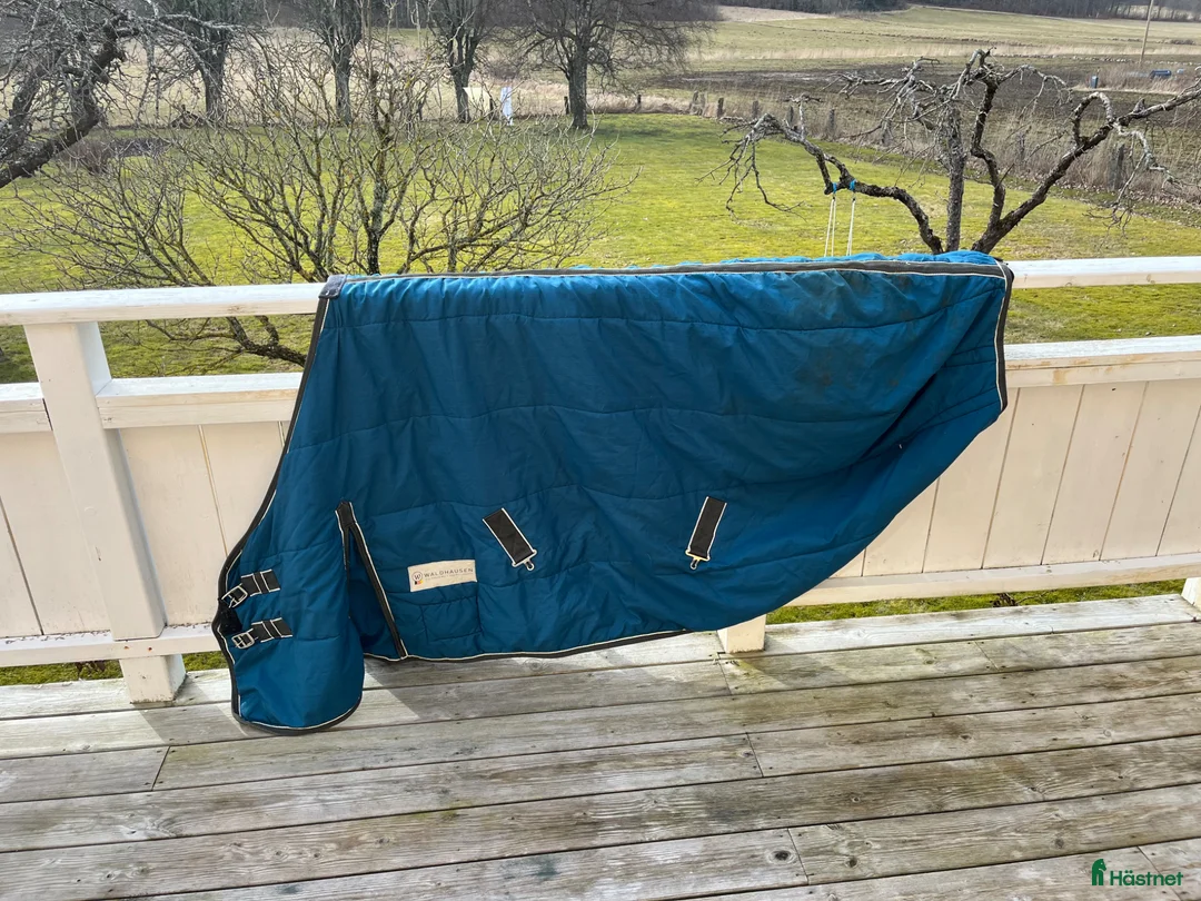 Täcken hästutrustning till salu: Stalltäcke med bra passform  - Annons 1